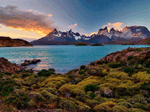 Patagonia