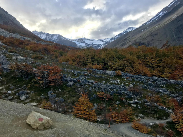 o trek patagonia blog