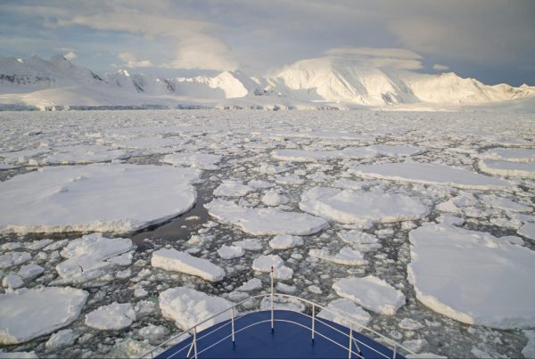 Cruising Through the Pack Ice