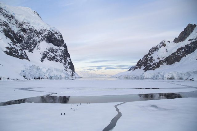 8 Tips for Traveling to Antarctica 8 Tips for Traveling to Antarctica