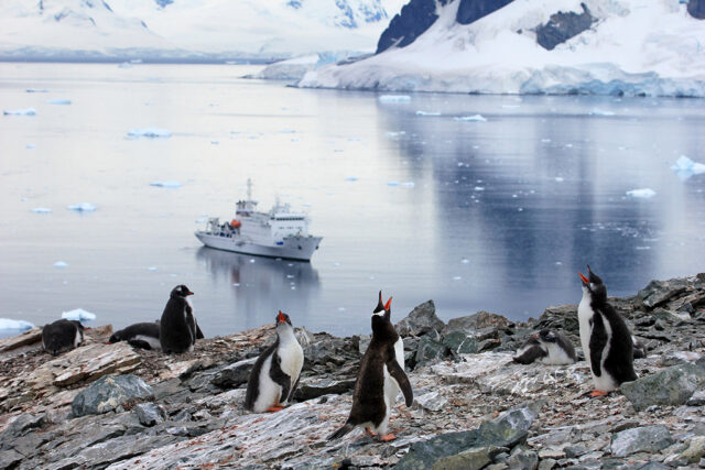 9 Must Do Antarctic Cruise Activities 9 Must Do Antarctic Cruise Activities