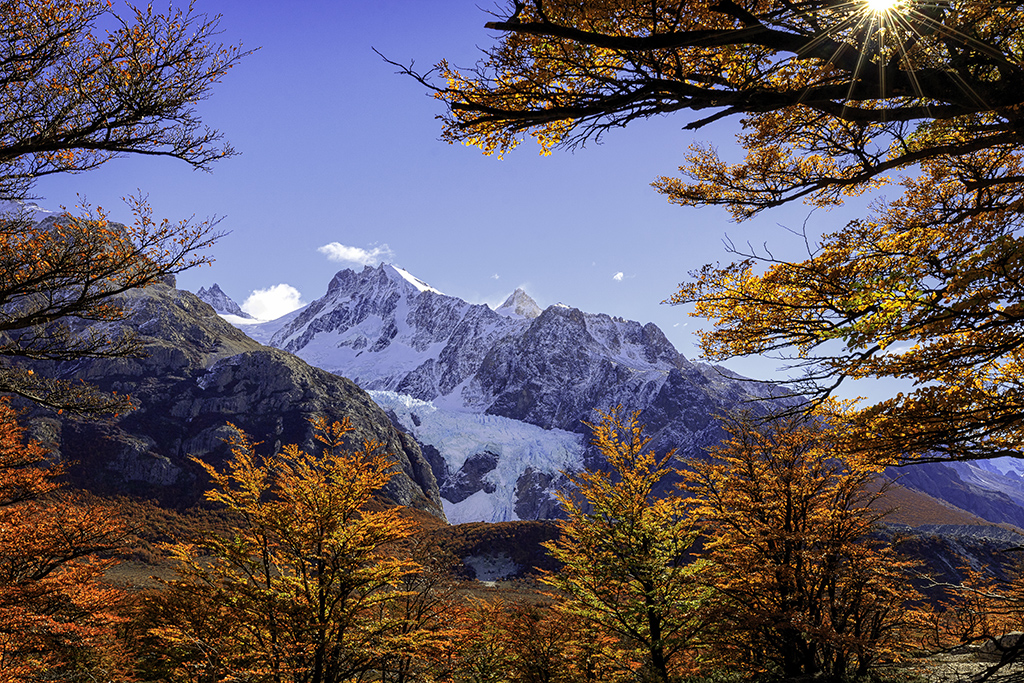 A Fiery Autumn in Los Glaciares National Park Patagonia Hero